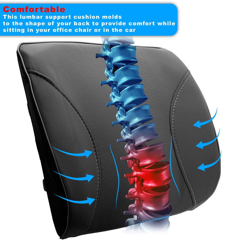 Swiss Drive Lumbar Support Black 36cm 14" x  33cm 13" - LUMBAR2