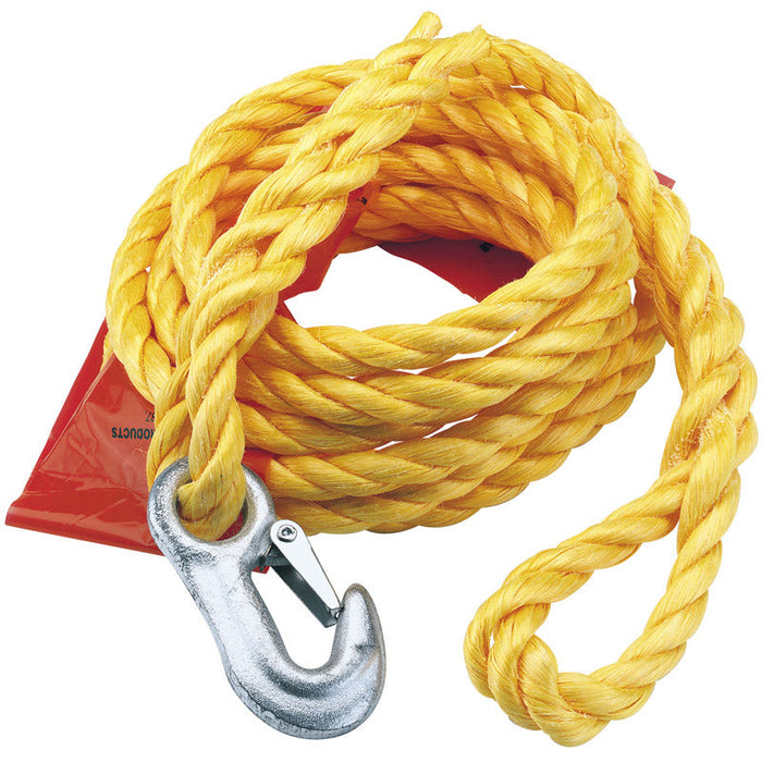 Draper Capacity Tow Rope With Flag, 2000kg